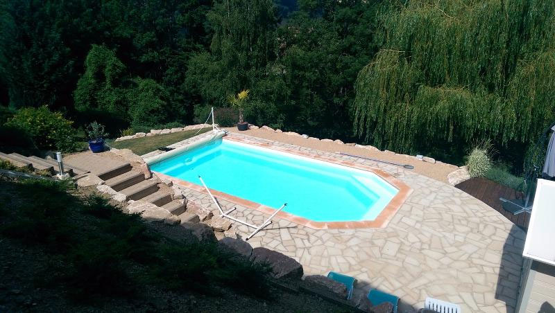 piscine avec terrasse et vue sur la foret